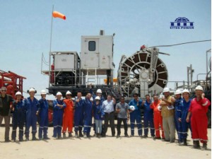 Ettes-power-Service-Team-Diesel-Natural-Gas-Biogas-Oilfield-Gas-Engine-Generation-Ettespower