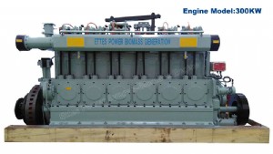 300kW Biomass Engine-2