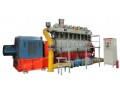 Syngas-Biomass Engines